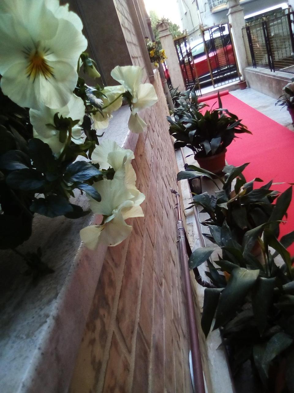 Officina Urban Sleep Bed & Breakfast San Benedetto del Tronto Dış mekan fotoğraf