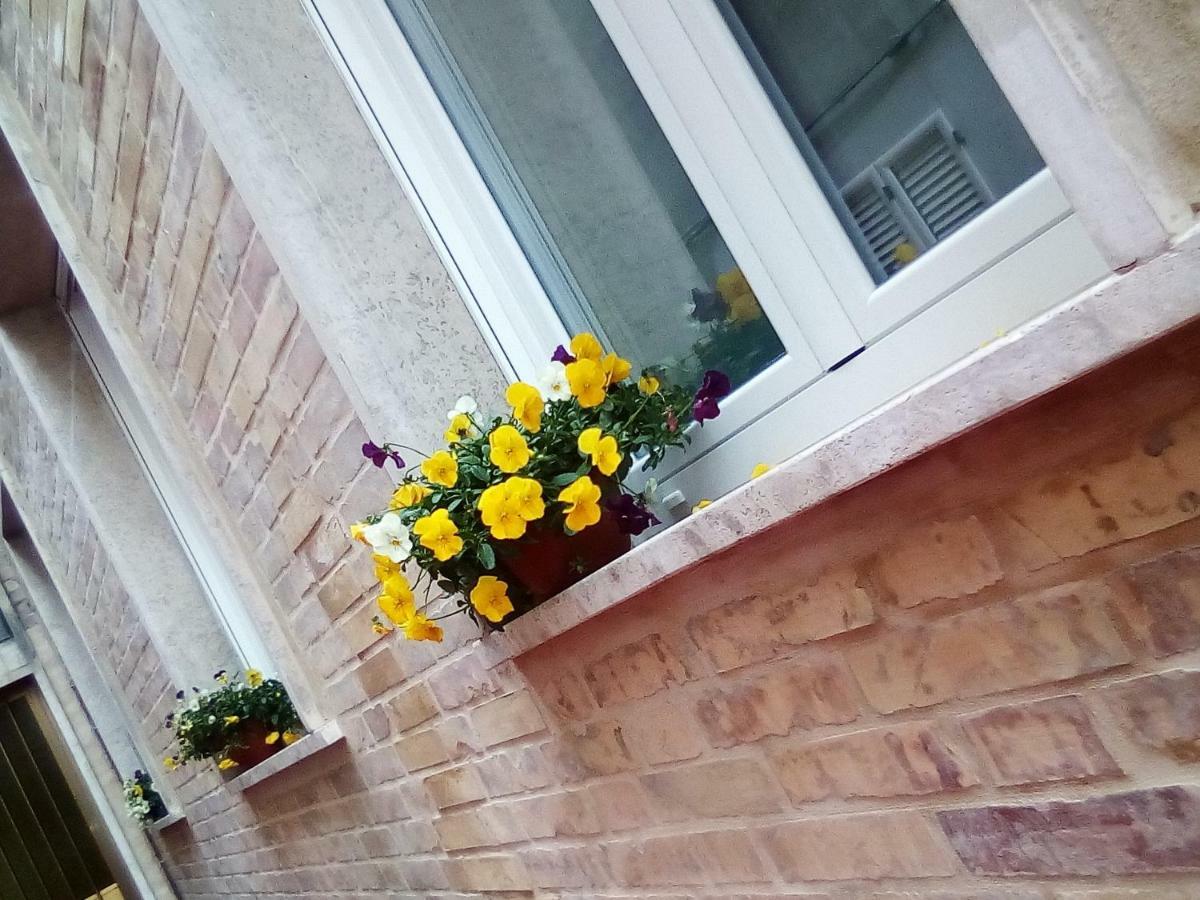 Officina Urban Sleep Bed & Breakfast San Benedetto del Tronto Dış mekan fotoğraf